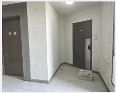  2025Ÿ��11683  ����Ʈ���