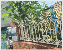  2025Ÿ��11938  �����ڽü����