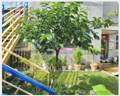  2025Ÿ��11938  �����ڽü����