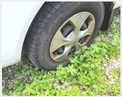  2025Ÿ12349   3 38, 402ȣ()      