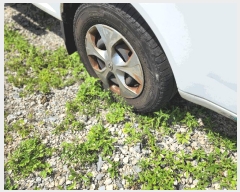  2025Ÿ12349   3 38, 402ȣ()      