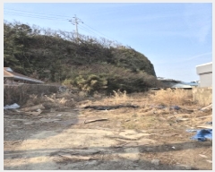  2025Ÿ��114  �������