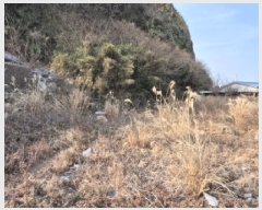  2025Ÿ��114  �������