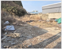  2025Ÿ��114  �������