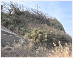  2025Ÿ��114  �������