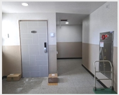  2025Ÿ��145  ���ǽ��ڰ��