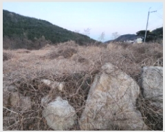  2025Ÿ��459  �������