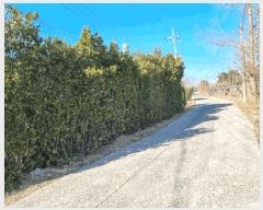  2025Ÿ��887 ��� ���ֱ� ������ ȭ�긮 28-32      ����(������)���