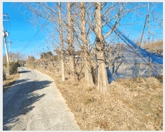  2025Ÿ��887 ��� ���ֱ� ������ ȭ�긮 28-32      ����(������)���