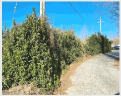  2025Ÿ��887 ��� ���ֱ� ������ ȭ�긮 28-32      ����(������)���