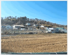  2025Ÿ��887 ��� ���ֱ� ������ ȭ�긮 28-32      ����(������)���