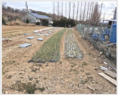  2025Ÿ��887 ��� ���ֱ� ������ ȭ�긮 28-32      ����(������)���