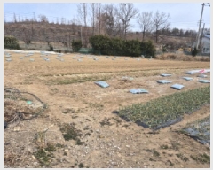  2025Ÿ��887 ��� ���ֱ� ������ ȭ�긮 28-32      ����(������)���