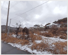  2025Ÿ��910 ��� ���ֱ� �ε��� ���̸� 284-8      ����(��1)���