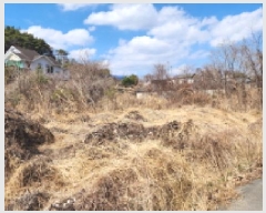  2025Ÿ��910 ��� ���ֱ� �ε��� ���̸� 284-8      ����(��1)���