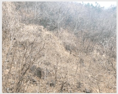  2025Ÿ��914  �Ӿ߰��