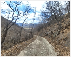  2025Ÿ��914  �Ӿ߰��