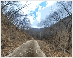  2025Ÿ��914  �Ӿ߰��