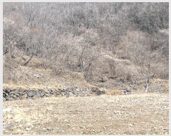  2025Ÿ��914  �Ӿ߰��