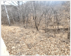  2025Ÿ��914  �Ӿ߰��