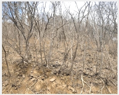  2025Ÿ��914  �Ӿ߰��