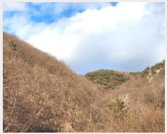  2025Ÿ��914  �Ӿ߰��