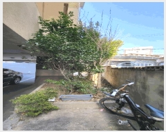  2025Ÿ��926  �ٰ������ð��