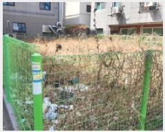  2025Ÿ��968  �������