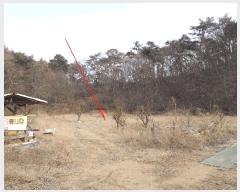  2025Ÿ��977  ����