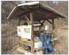  2025Ÿ��977  ����