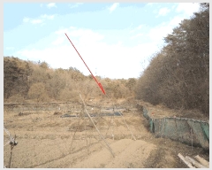  2025Ÿ��977  ����