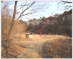  2025Ÿ��977  ����