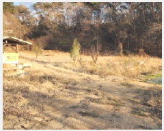  2025Ÿ��977  ����