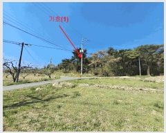  2025Ÿ��1033  �Ӿ߰��