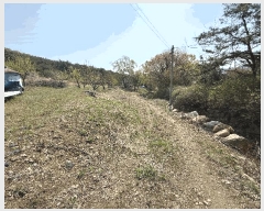  2025Ÿ��1043 �泲 ���� �Ϻϸ� ���긮 439      ����(��)���