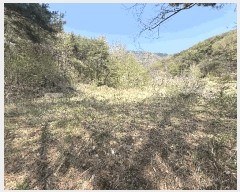  2025Ÿ��1043 �泲 ���� �Ϻϸ� ���긮 439      ����(��)���