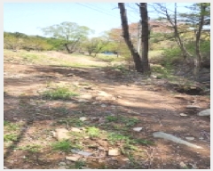  2025Ÿ��1043 �泲 ���� �Ϻϸ� ���긮 439      ����(��)���