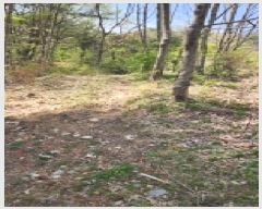  2025Ÿ��1043 �泲 ���� �Ϻϸ� ���긮 439      ����(��)���