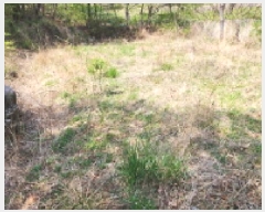  2025Ÿ��1043 �泲 ���� �Ϻϸ� ���긮 439      ����(��)���