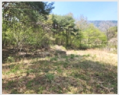  2025Ÿ��1043 �泲 ���� �Ϻϸ� ���긮 439      ����(��)���