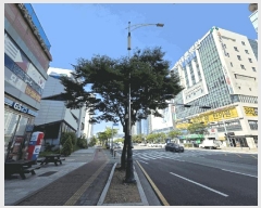  2025Ÿ��1138  ���ǽ��ڰ��