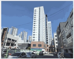  2025Ÿ��1138  ���ǽ��ڰ��