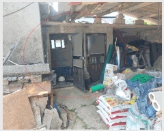  2025Ÿ��1158  ���ð��