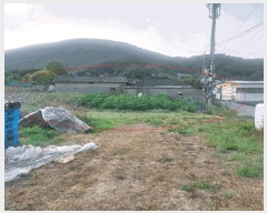  2025Ÿ��1158  ���ð��