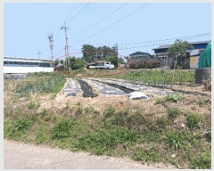  2025Ÿ��1158  ���ð��