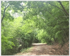  2025Ÿ��1313  �Ӿ߰��