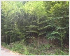  2025Ÿ��1313  �Ӿ߰��