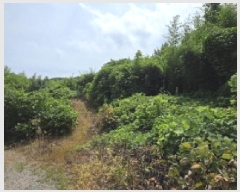  2025Ÿ��1313  �Ӿ߰��