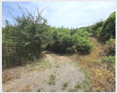  2025Ÿ��1313  �Ӿ߰��