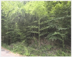  2025Ÿ��1313  �Ӿ߰��